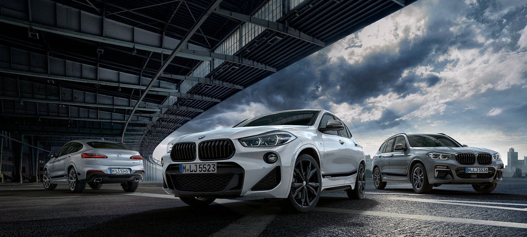BMW X BMW X